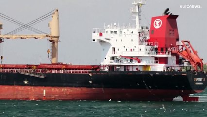 Céréales : 12 navires ont quitté les ports ukrainiens