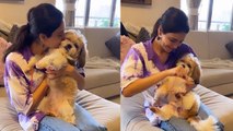 Raksha Bandhan 2022: Karishma Tanna Pet Dog Koko को राखी बांधते Video Viral|Boldsky*Entertainment