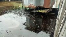 Pencemaran Sungai Alalak, Timbul Gumpalan Cairan Hitam dan Bau Menyengat!