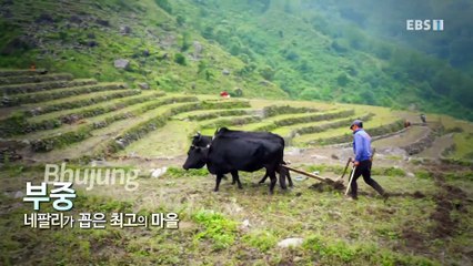 세계테마기행 - 또 다른 히말라야, 네팔- 높이마다 천지 차이_#001
