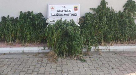 Son dakika gündem: Uyuşturucu ürettikleri iddia edilen 3 şüpheliden biri tutuklandı