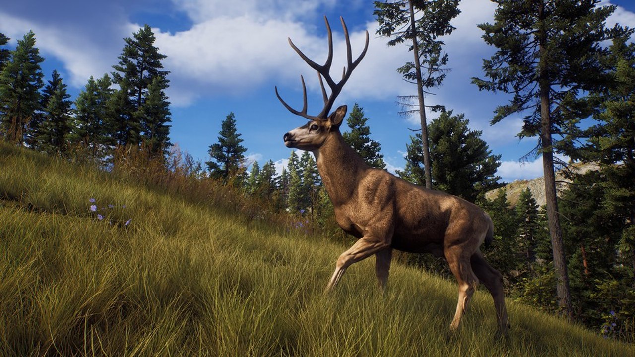 Way of the Hunter: Neuer Trailer stimmt kurz vor Release auf die Jagdsimulation ein