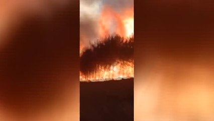 El incendio que desde hace 24 horas quema la Sierra de Gata sigue activo