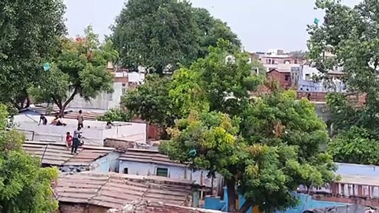 पतंगबाजी के लिए मिला खुशनुमा मौसम का संग