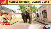 10 ಆನೆಗಳಲ್ಲಿ ಅರ್ಜುನ ಆನೆಯೇ ಫುಲ್ ಸ್ಟ್ರಾಂಗ್ | Mysuru | Elephant Weighing | Dasara | Public TV