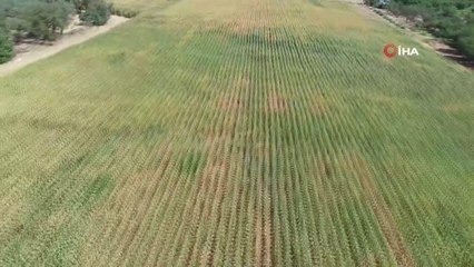 Atıl arazi değerlendirilerek, besicilere can suyu oldu