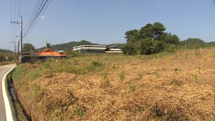 감사원 "허위 농업법인 세워 부동산 투기...지자체 부실관리" / YTN