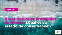 Áreas Naturales Protegidas de México: ¿Cuál es su estado de conservación?