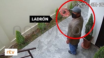 Ladrón de edificios causa temor y zozobra
