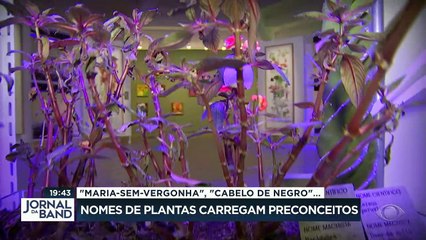 Nomes de plantas carregam preconceitos