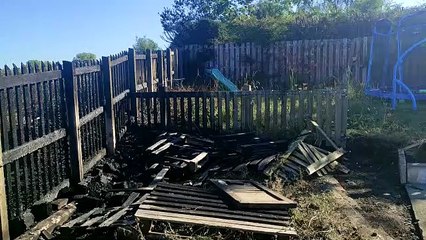 Aftermath of allotment fire in Easington Lane