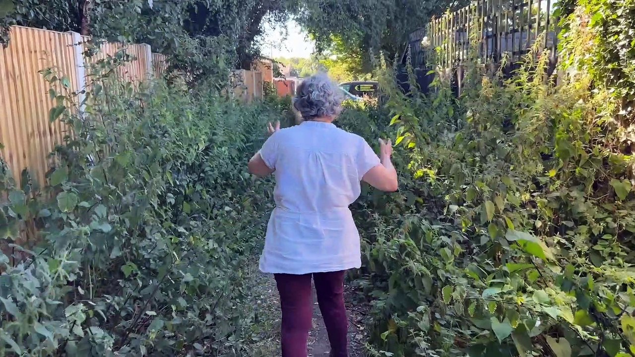 Grandmother complains about 5ft stinging nettles in overgrown alley