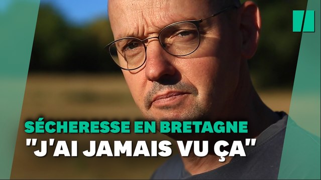J'ai jamais vu ça , comment cet éleveur Breton tente de faire face à la sécheresse