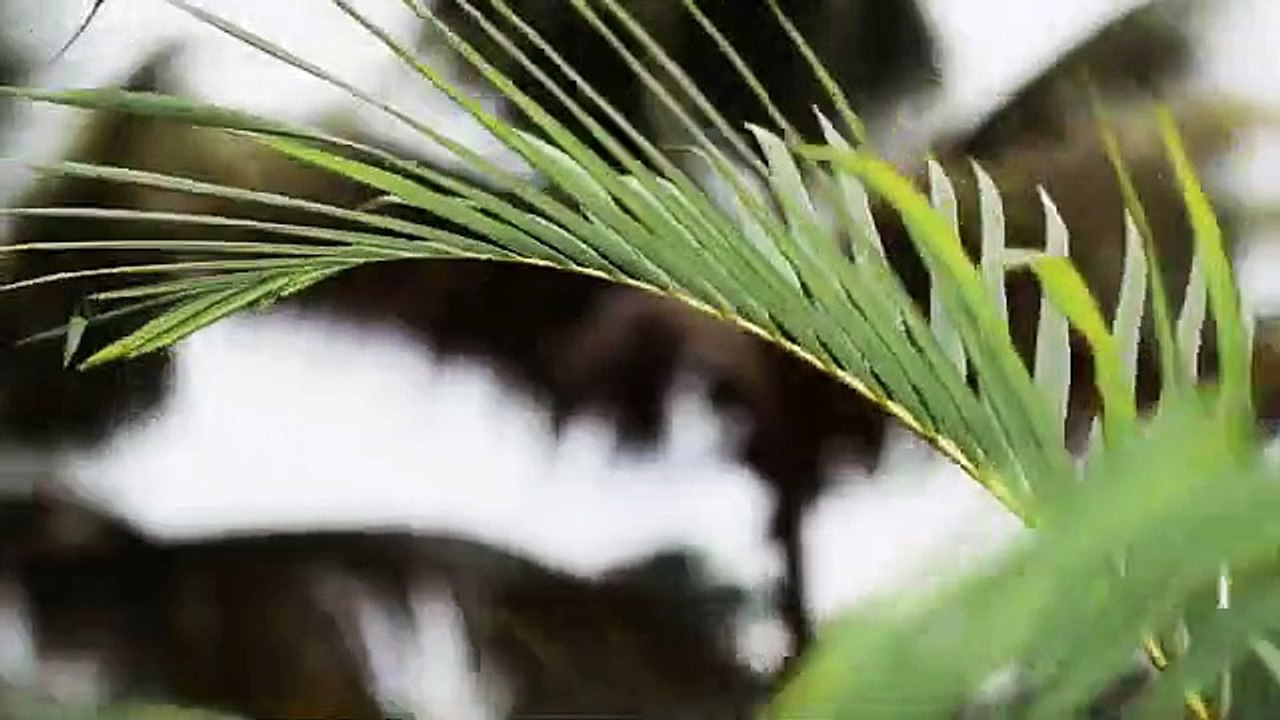 EMIWAY X YOUNG GALIB  BUSY MONSOON EP OFFICIAL MUSIC VIDEO_