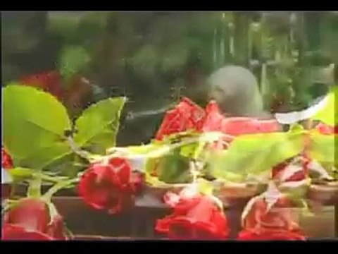 Best female Quran reciter_ Sumayya EdDeeb_ reciting Surat Al-Fajr(240P)