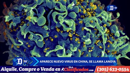 Aparece nuevo virus en China, se llama Langya | El Diario en 90 segundos