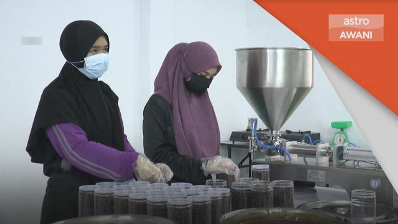 RMK12 | Memacu usahawan PMKS