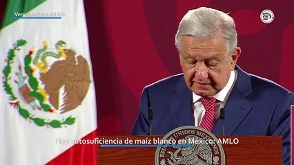 Hay autosuficiencia de maíz blanco en México: AMLO