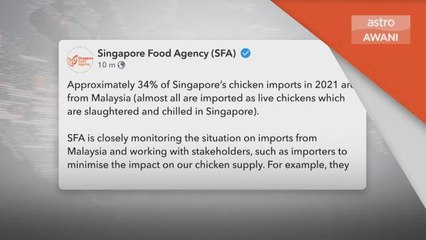 Bekalan Ayam | SFA giatkan usaha kurangkan impak bekalan