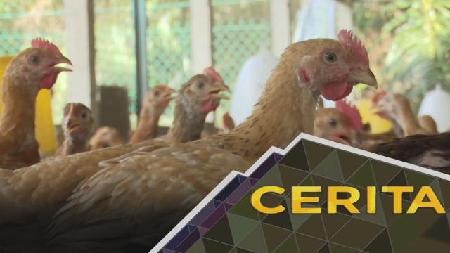 Cerita Sebalik Berita: Perjalanan liputan wartawan PRN Johor