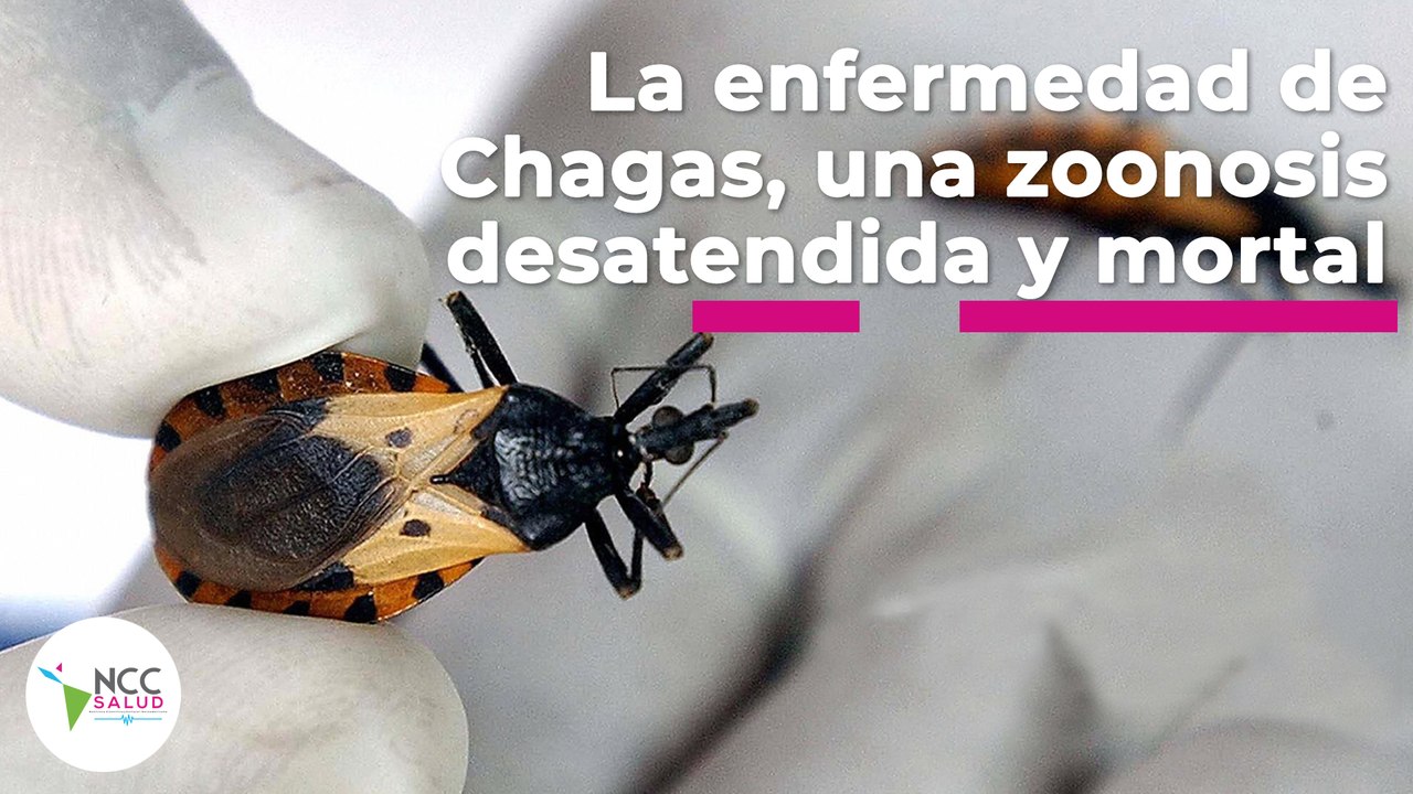 La enfermedad de Chagas, una zoonosis desatendi...