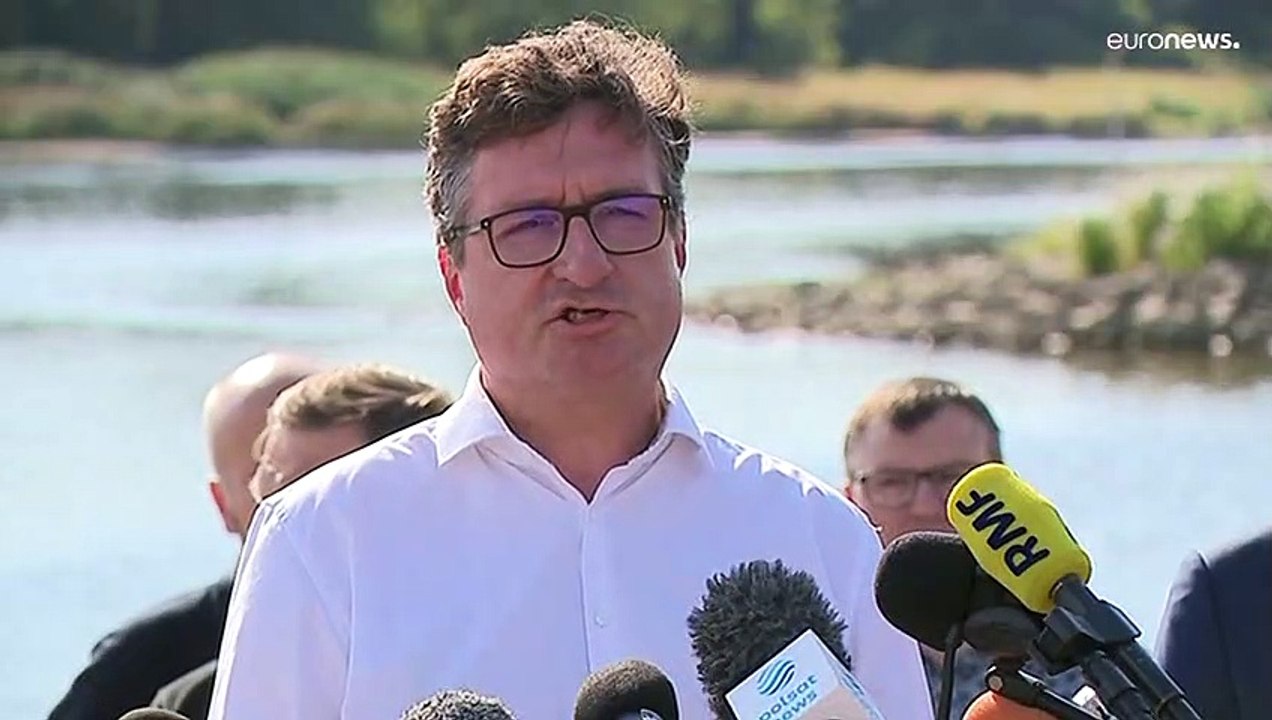 Tausende tote Fische in der Oder offenbar ein 'Umweltdelikt'