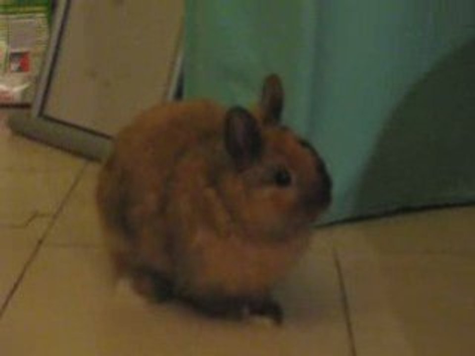 Charly