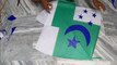 14 August Pakistan's Happy Independence Day Flag kite - Mr.kites
