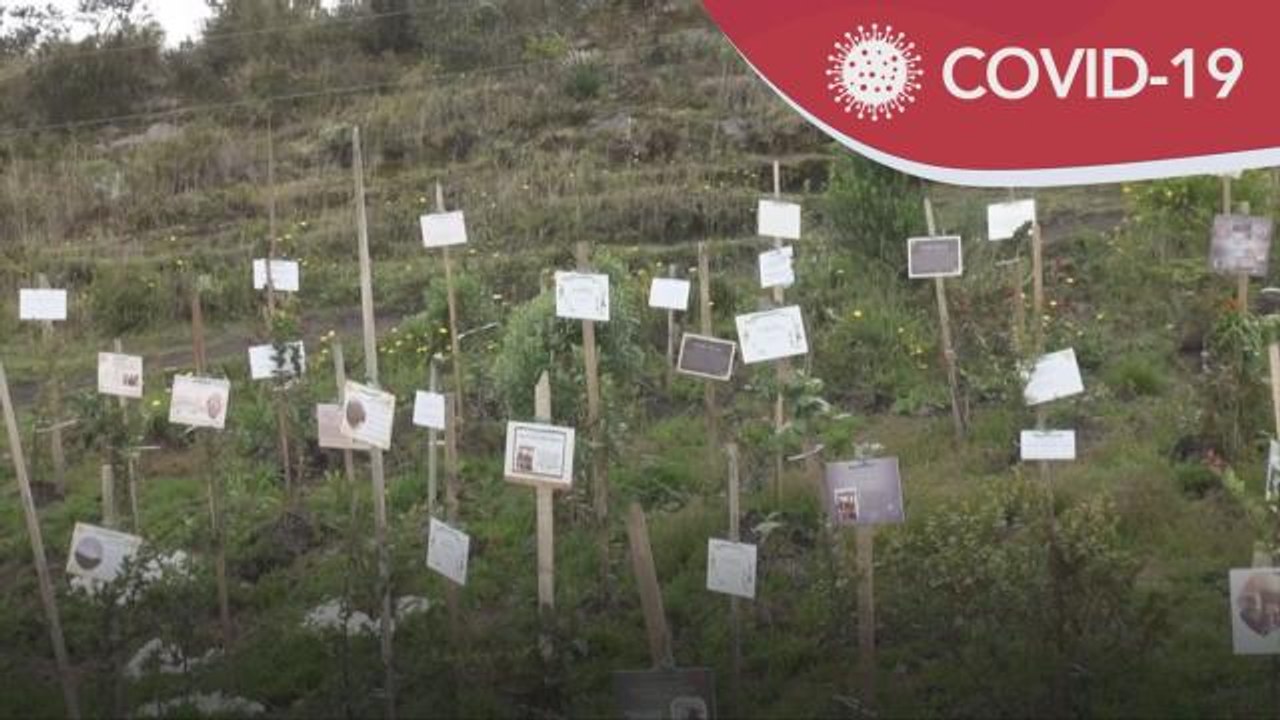 COVID-19 | Tanam pokok bagi memperingati mangsa korban