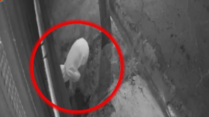 C7-polvora-menores-110822