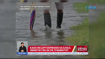 Kaso ng leptospirosis sa Iloilo, umakyat na sa 34; 5 namatay | UB