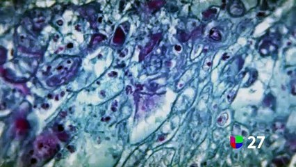 Breves 1 Minuto Noticias 27