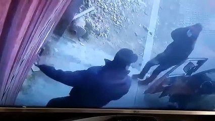 Envenenan perros para robar casas en el Alto; ladrones buscan nuevos modus operandi