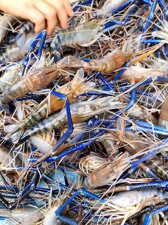 Yummy seafood do this weekend .Why so Delicious.
