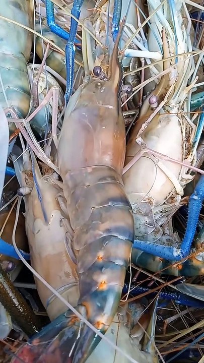 Yummy seafood do this weekend .Why so Delicious.