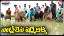 YS Sharmila Plants Rice Saplings With Farmers  |Padayatra  |V6 Teenmaar