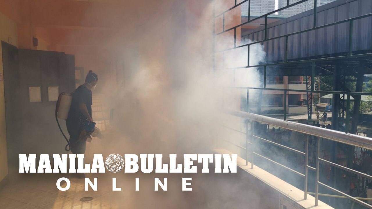 MDRRMO conducts fogging operation in Gregorio Del Pilar Elementary School in preparation for face to face classes