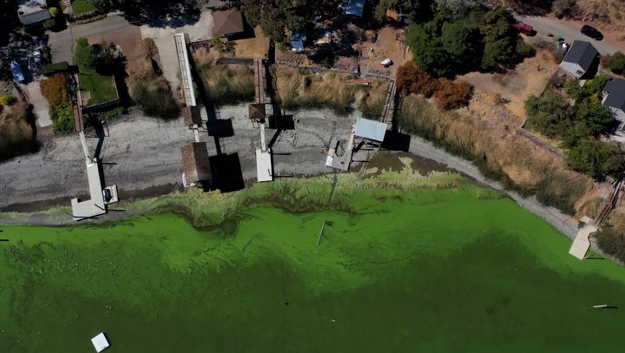 Climate change, development fueling toxic algae