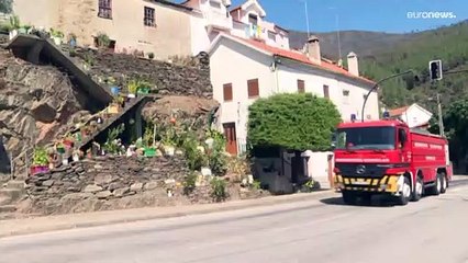 Waldbrand in Serra da Estrela: Portugals größter Naturpark zu 10 % zerstört