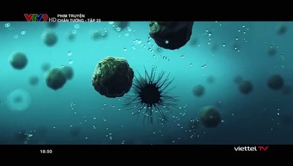 Chân Tướng Tập 23