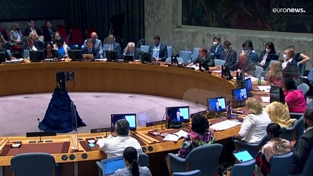 Nucleare, l'AIEA chiede l'accesso per i suoi ispettori alla centrale in Ucraina