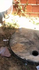 The Day I Saved a Kitten From a Pit