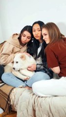 One Funny Dog  Three Girls Compilation #3 | Animals Video