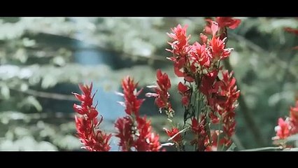 EPIC CINEMATOGRAPHY  NIKON D5300