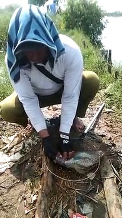 SEMANGAT MANCING NY