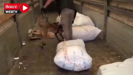 Kargo çuvalından uyuşturucu çıktı
