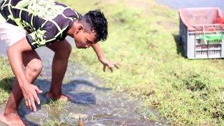 GIANT MUD CRAB Catching ｜ Catching Alimango in the Mangroves ｜ Find Giant Mud Crab In Secret Hole