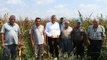 CHP’li Barut: Çıftçi mısırda taban fiyatının 7 lira olmasını istiyor