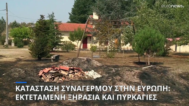 Συναγερμός στην Ευρώπη για την εκτεταμένη ξηρασία - Δασικές πυρκαγιές σε Γαλλία και Ιβηρική