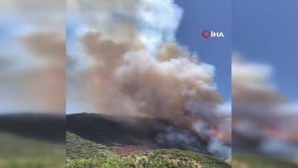 Son dakika haber: İzmir ve Manisa'da 8 ayda 455 yangın çıktı